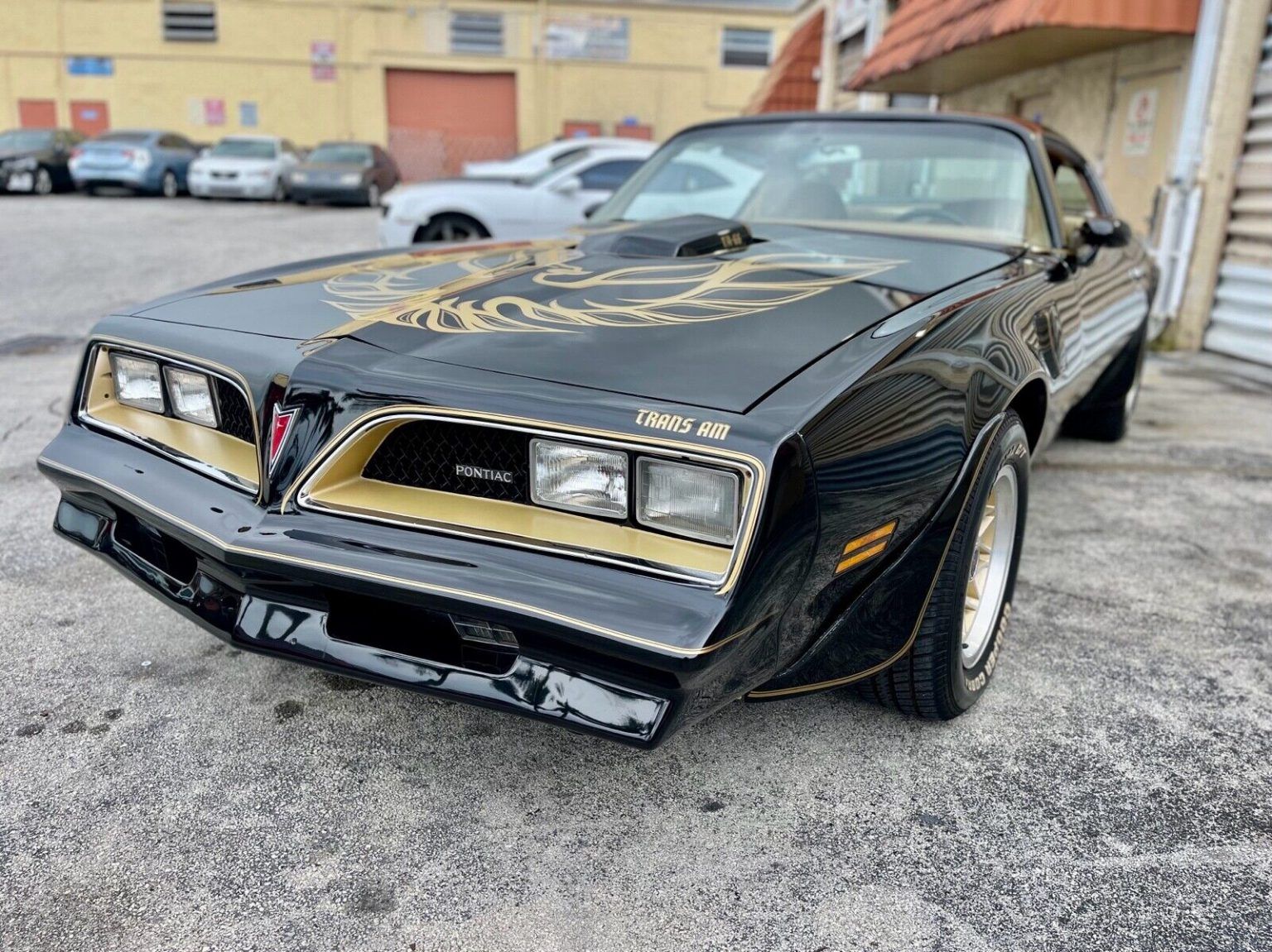 1978 Pontiac Trans Am fully restored for sale